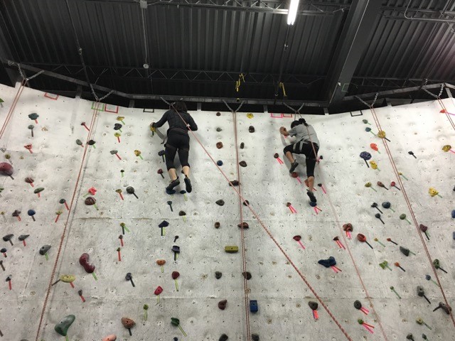 Two CAN Lab members reach the top of a rock wall